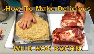 Wild hog bacon