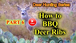 BBQ Deer Ribs