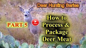 How to process a deer video