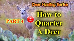 how to quarter a deer