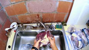 Washing the Wild Hog Bacon in the sink