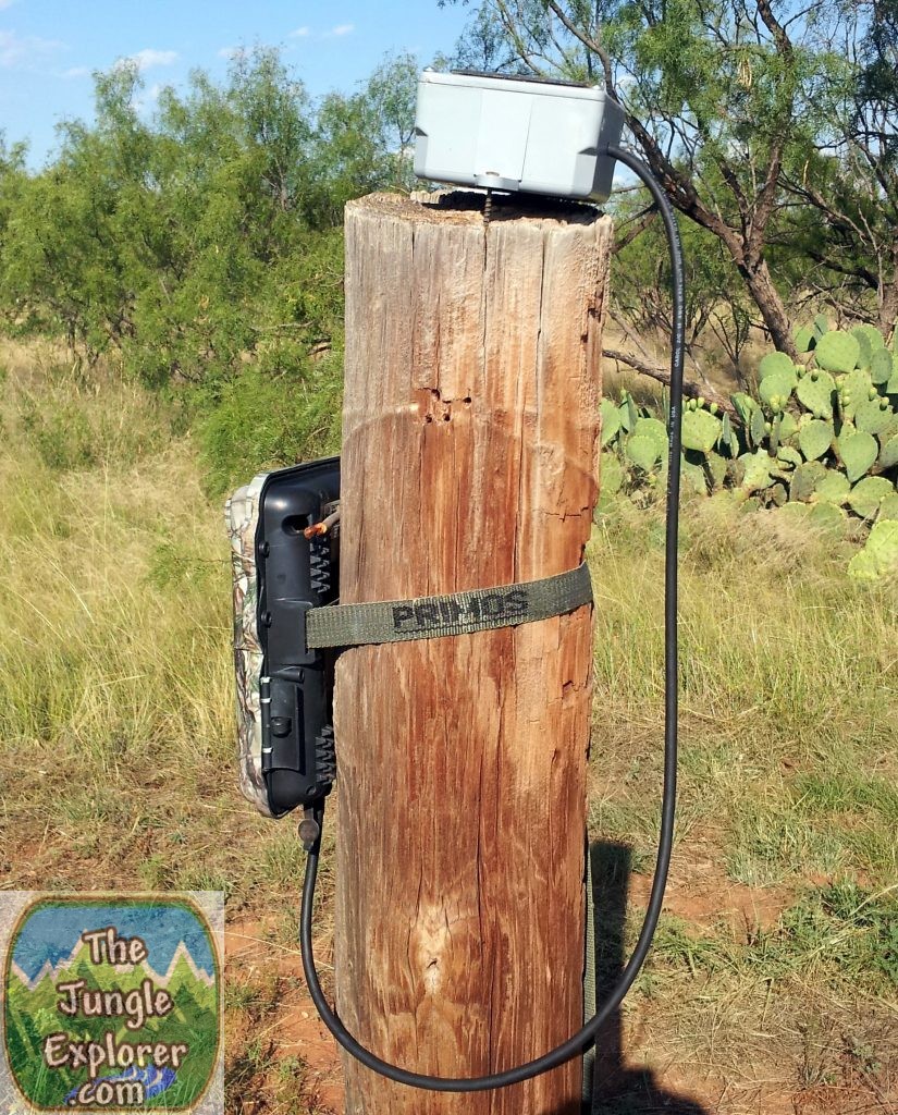 Trail camera on post with external battery