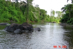 Upper Jatapu River Amazon Rain forest 